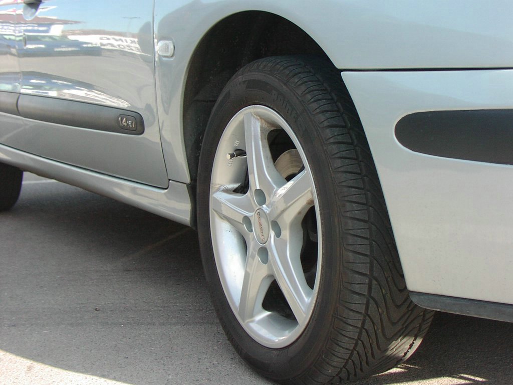 Furel spot 4.7.07 (6).JPG