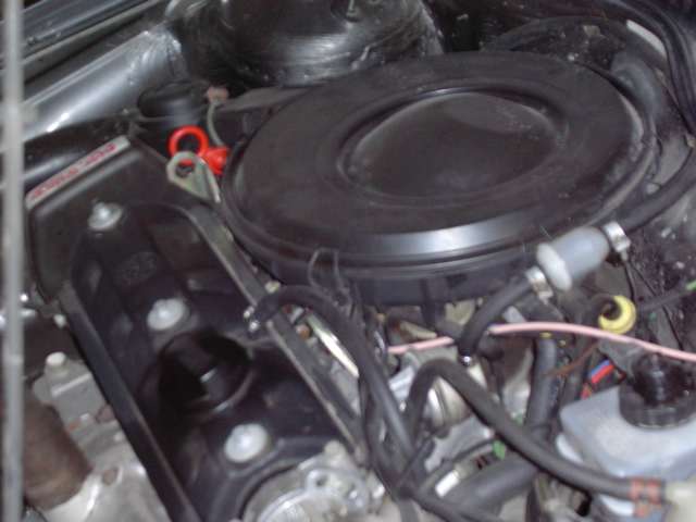 7 pazdziernik 2004 - Katedra